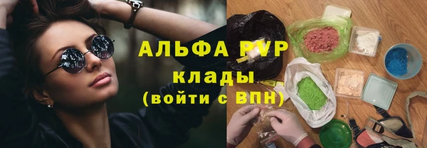 прущие грибы Армянск
