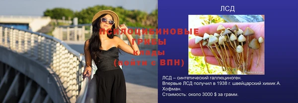 ГАЛЛЮЦИНОГЕННЫЕ ГРИБЫ Аркадак