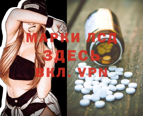 твердый Арсеньев