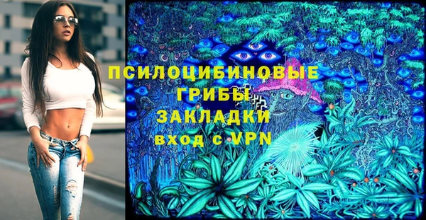 ГАЛЛЮЦИНОГЕННЫЕ ГРИБЫ Аркадак