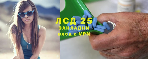 ГАЛЛЮЦИНОГЕННЫЕ ГРИБЫ Аркадак