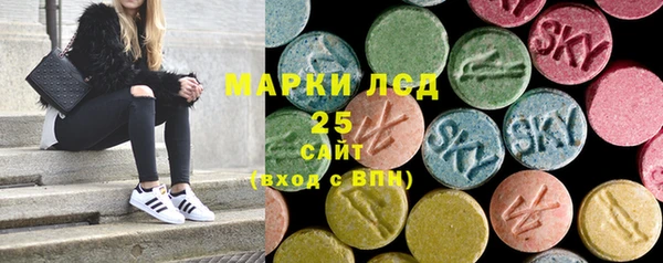 ГАЛЛЮЦИНОГЕННЫЕ ГРИБЫ Аркадак