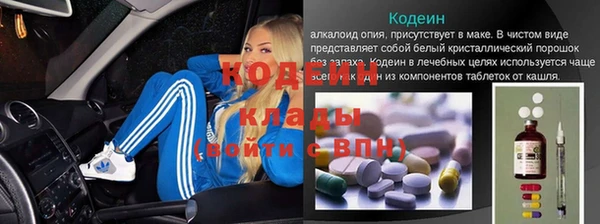 прущие грибы Армянск